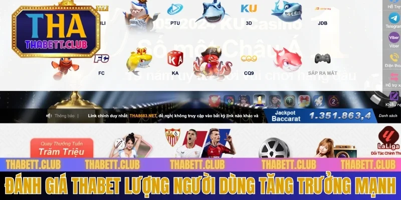 danh-gia-thabet-luong-nguoi-dung-tang-truong-manh