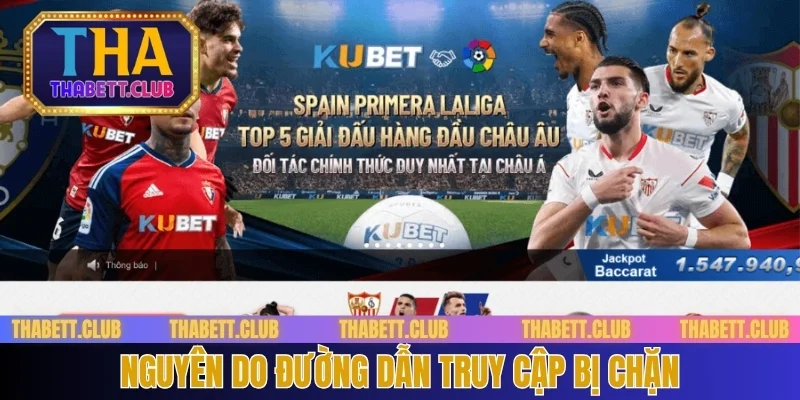 nguyen-do-duong-dan-truy-cap-bi-chan